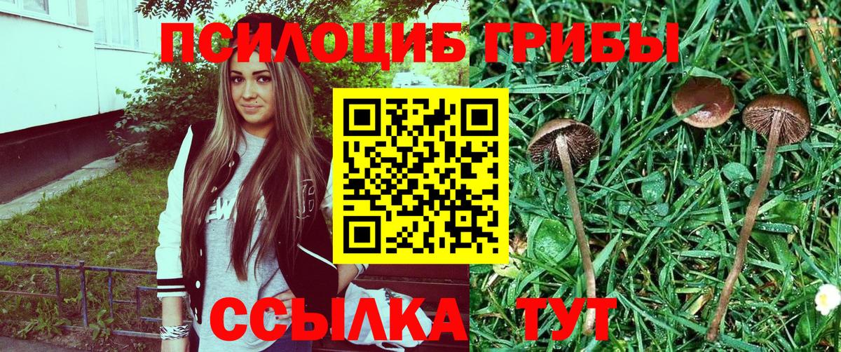 Петрозаводск  Псилоцибиновые грибы MAGIC MUSHROOMS  Вход с VPN  что такое наркотик  Псилоцибиновые грибы ЛСД 