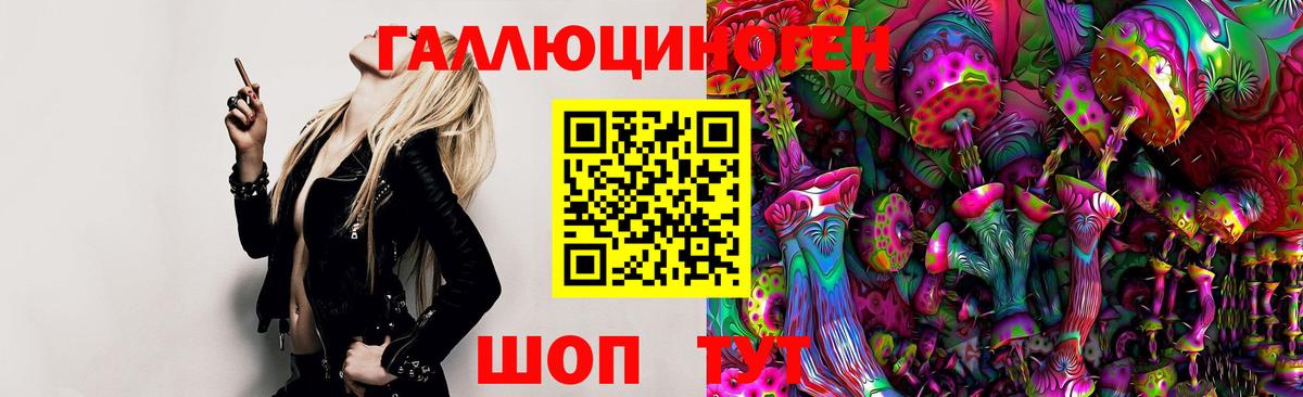 Псилоцибиновые грибы MAGIC MUSHROOMS Петрозаводск